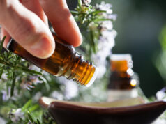 Punaise de lit : les huiles essentielles pour les repousser !