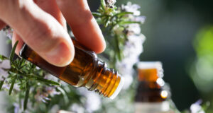 Punaise de lit : les huiles essentielles pour les repousser !