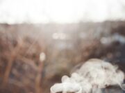 Boire votre thé trop chaud augmenterait les risques de cancer de l’œsophage