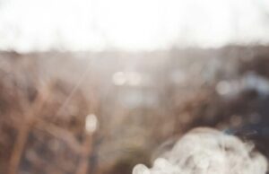 Boire votre thé trop chaud augmenterait les risques de cancer de l’œsophage