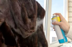 Quels sont les gestes pour éviter l’installation des mîtes chez soi ?