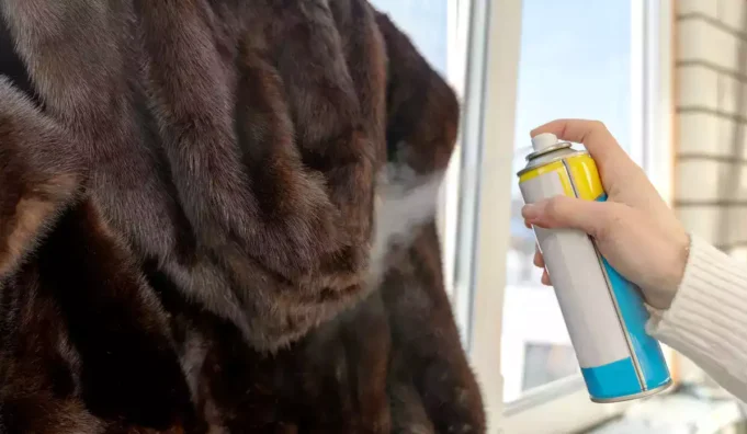 Quels sont les gestes pour éviter l’installation des mîtes chez soi ?