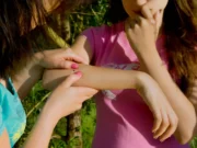 Morsure de tique : les 5 étapes que vous devez suivre après la morsure