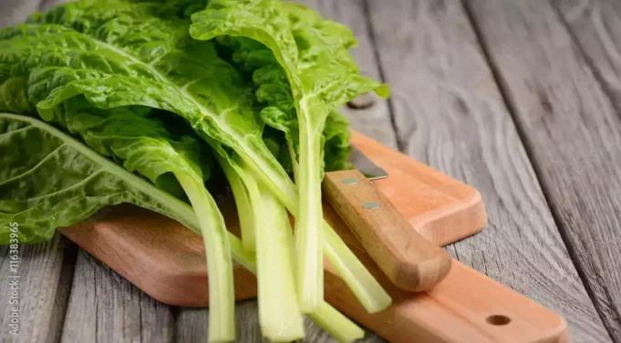 Les bienfaits incroyables de la blette