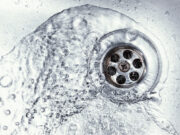 Les trous d’évier sont un réservoir à microbes et bactéries d’après une étude