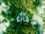 Santé des poumons : 7 aliments merveilleux pour se désintoxiquer