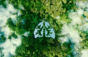 Santé des poumons : 7 aliments merveilleux pour se désintoxiquer