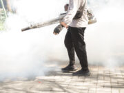 Moustiques tigres : à quoi servent les opérations de démoustication?