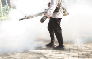 Moustiques tigres : à quoi servent les opérations de démoustication?