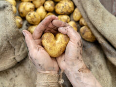 Ces légumes à éviter de manger crus