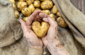 Ces légumes à éviter de manger crus