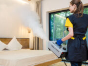 Punaises de lit : bientôt un service public gratuit de désinfection ?