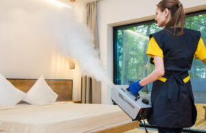 Punaises de lit : bientôt un service public gratuit de désinfection ?