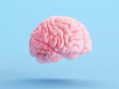 Ces 8 aliments à privilégier afin de protéger le cerveau