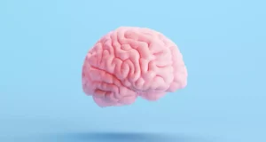 Ces 8 aliments à privilégier afin de protéger le cerveau
