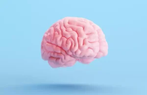 Ces 8 aliments à privilégier afin de protéger le cerveau