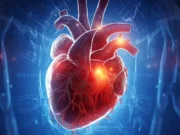 Découvrez les cinq facteurs de risque responsables de plus de 50 % des maladies cardiovasculaires