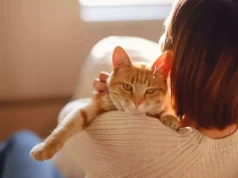 Allergique aux chats ? Un nouveau vaccin à l’étude