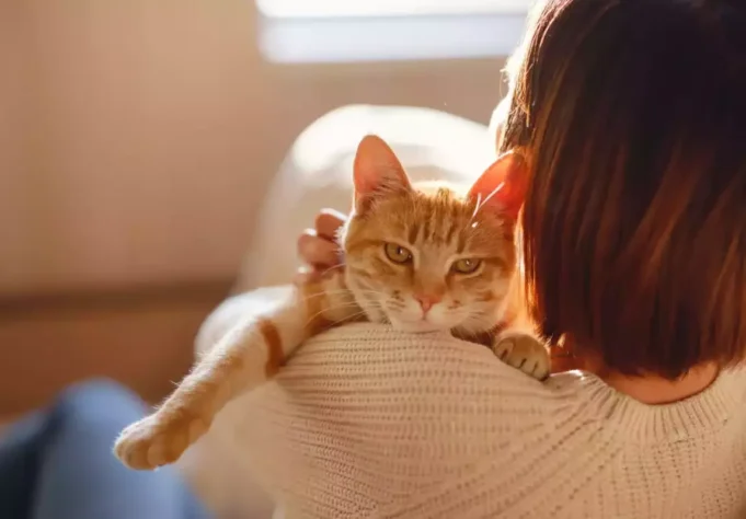 Allergique aux chats ? Un nouveau vaccin à l’étude