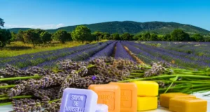 Pourquoi le savon de Marseille est-il si populaire en France ?