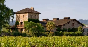 Vivre à côté d’une grande parcelle de vigne n’est pas l’idéal pour la santé