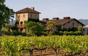 Vivre à côté d’une grande parcelle de vigne n’est pas l’idéal pour la santé
