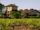 Vivre à côté d’une grande parcelle de vigne n’est pas l’idéal pour la santé