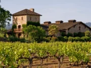 Vivre à côté d’une grande parcelle de vigne n’est pas l’idéal pour la santé