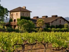 Vivre à côté d’une grande parcelle de vigne n’est pas l’idéal pour la santé