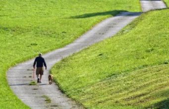 Marcher 10 000 pas par jour n’est pas forcément efficace, voici pourquoi