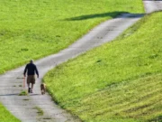 Marcher 10 000 pas par jour n’est pas forcément efficace, voici pourquoi