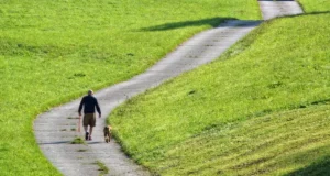 Marcher 10 000 pas par jour n’est pas forcément efficace, voici pourquoi