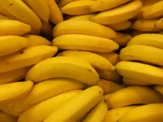 Ces astuces pour vous aider à conserver vos bananes plus souvent