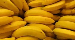 Ces astuces pour vous aider à conserver vos bananes plus souvent