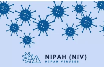 Le virus Nipah pourrait être responsable de la prochaine pandémie