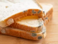 Consommer un aliment après en avoir coupé la partie moisie, est-ce une bonne idée ?