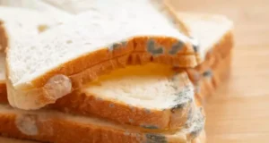 Consommer un aliment après en avoir coupé la partie moisie, est-ce une bonne idée ?