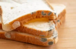 Consommer un aliment après en avoir coupé la partie moisie, est-ce une bonne idée ?