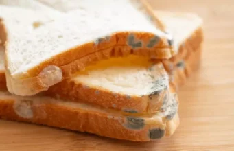 Consommer un aliment après en avoir coupé la partie moisie, est-ce une bonne idée ?