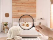 Qu’est-ce que détestent les punaises de lits ?