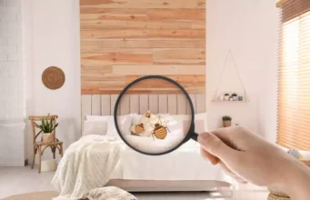 Qu’est-ce que détestent les punaises de lits ?