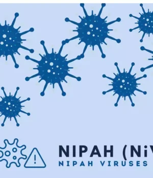 Le virus Nipah pourrait être responsable de la prochaine pandémie