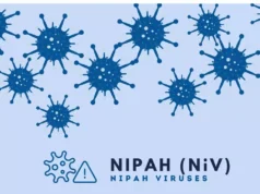 Le virus Nipah pourrait être responsable de la prochaine pandémie