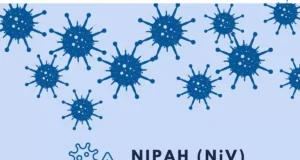 Le virus Nipah pourrait être responsable de la prochaine pandémie
