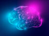 Cerveau : voici la découverte des chercheurs sur l’onde de la mort
