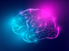 Cerveau : voici la découverte des chercheurs sur l’onde de la mort