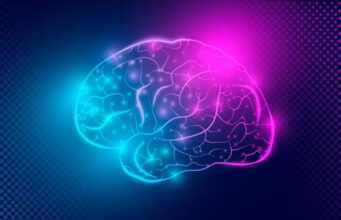 Cerveau : voici la découverte des chercheurs sur l’onde de la mort