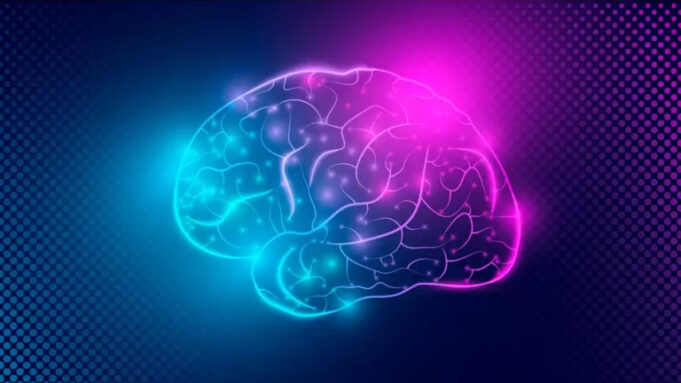 Cerveau : voici la découverte des chercheurs sur l’onde de la mort