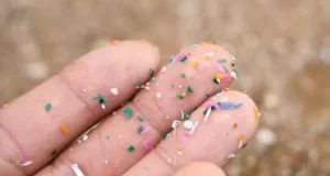 Des microplastiques trouvés dans le placenta s’inquiètent les chercheurs