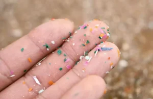 Des microplastiques trouvés dans le placenta s’inquiètent les chercheurs